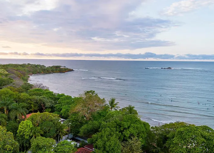 Hotel The Coast Beachfront Tamarindo